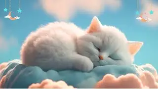 Relaxing Music for Cats (LIVE 24/7) Peaceful Piano Music with Cat Purring Sounds|Sleepy Cat  EPD 563