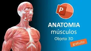 Como fazer uma aula no PowerPoint criativa sobre anatomia humana - Tutorial