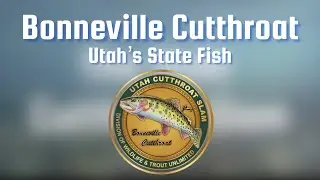 The Utah Cutthroat Slam: Bonneville Cutthroat Trout