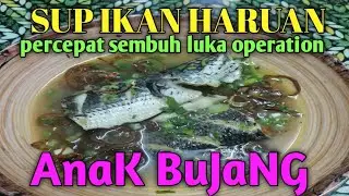 SUP IKAN HARUAN anak bujang mak abah style #supikanharuan