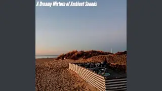 Remarkable Moods for Quiet Walks