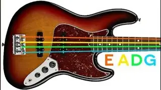 4 String Bass Guitar Tuner