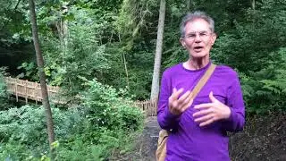 Deneholme Woods, Allendale. Interview with Paul Mingard