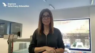 GPCert en Fisioterapia de peque&ntilde;os animales