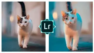 Lightroom Photo Editing Background Change Presets🤪🤪 #shorts #short #lightroom