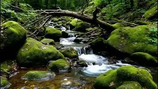 Serene Green Canyon Stream for Sleep and Inner Peace