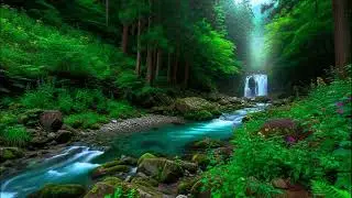 Comfort Your Sadness - Soft Rain On River Sound for Depression Relief & Inner Peace