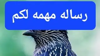 رساله لك من ام احمد