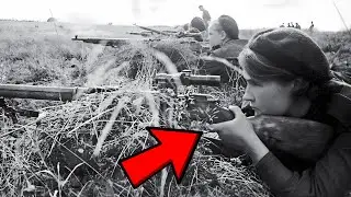 The Real Reason Soviets Hated German Snipers
