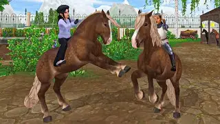 All 7 Noriker Horses in Star Stable