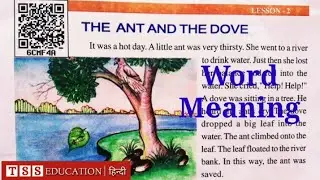 Word Meaning | Class 5 Lesson 2 - The Ant And The Dove | Word Meaning Practice