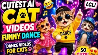 ''Cutest ai Cat videos funny dance🤣💃Dance Videos for cats #funny #dancingcat #cat #cute