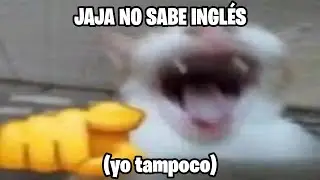 Shitposting Compilation V150