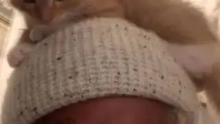 Lil Tracy - Saks Fifth (Tarantula) [DT2 Snippet]