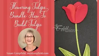 Flowering Tulips Bundle: How To Build Tulips