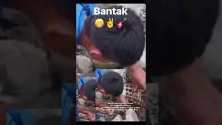 BANTAK (Fisherman&rsquo;s song) - Philippine Tribal Rock