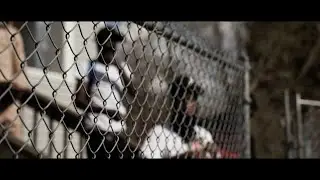 KC Money x BG Lil Pat -
