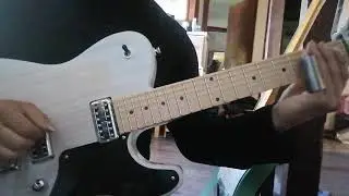 Harley Benton TE90 slide & blues