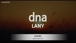 LANY - dna (Melody) (Karaoke Version)