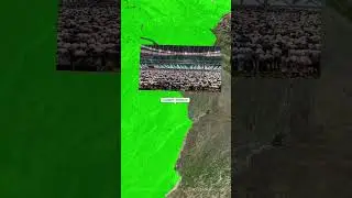 Pakistan&rsquo;s Biggest Eid Prayer: You Won&rsquo;t Believe the Crowd Size!