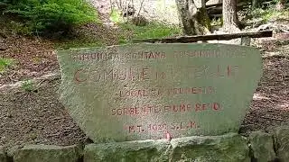 Sorgente fiume Reno