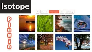 How to Isotope Masonry Plugin Uses  | isotope portfolio filter gallery | Bangla Tutorial