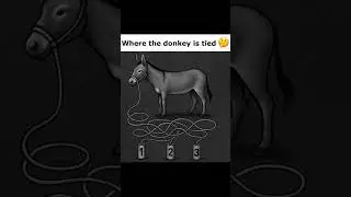#falconfacts Where the DONKEY is Tied, can you did it