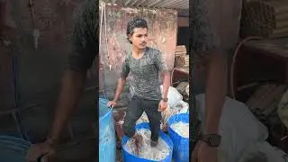 How to make Cork in Factory Level || Cork making || @oyee36