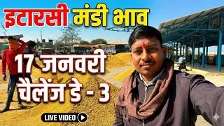 Challenge day _3  live updates itarsi मंडी #itarsimandibhav05 #paddyratetoday #mandibhav #live 