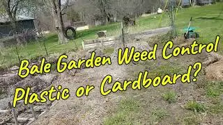 Garden Weed Control - Which is Better, Cardboard or Landscape Cloth?