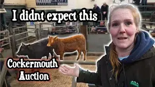 I’ve NEVER Sold Here Before… I Was Shocked!! 