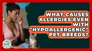 What Causes Allergies Even With 
