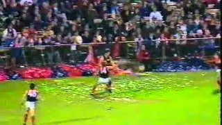 ADELAIDE CROWS 1991 AFL SEASON  - 7 OF 10