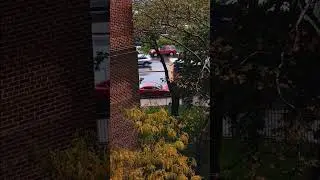 MTA: Bx42 Bus (2019 Novabus LFS Smartbus 8748) | October 20, 2023