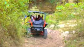 Buggy Tours Adventure - TOP Experience in Panama