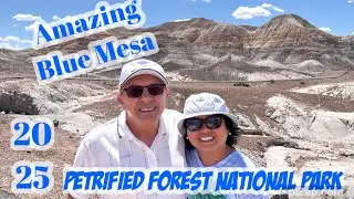Exploring  Petrified Forest National Park in Arizona 2025 / Lookouts and Blue Mesa