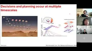 MindRL Research Recap #18 Multi-timescale RL (Paul Masset, in English)