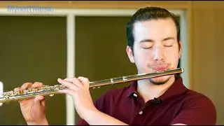 Step Up Instruments: Flute