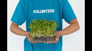 Microvolunteering:  Small Acts of Doing Good, Big Impact!