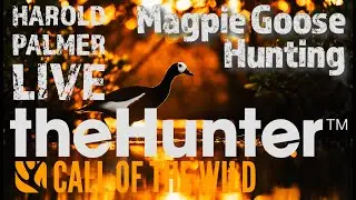 Emerald Coast - Magpie Goose Hunting
