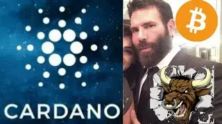 CARDANO BULLRUN IN YEAR 2020 COULD MAKE ADA CRYPTOCURRENCY ON THE BITCOIN LEVEL