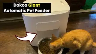 DOKOO 15L Auto Vacuum-Sealed Cat Feeder: Best Pet Feeder Yet 🐈 Gadgetify