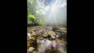 It&rsquo;s all about nature 🍃 | #nature #travel #srilanka #meemure #seo #wanderlust #relaxing