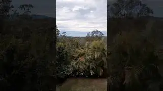 Brisbane Weather Update Today 👀