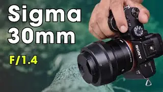 Sigma 30mm f/1.4 DC DN Review |  Is Sigma 30mm Lens Worth Buying In 2024?