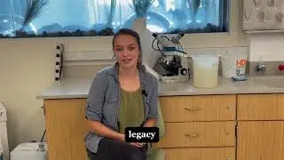 Sydney Brown - Graduate Research Pt. 2