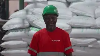 La SOBEBRA en 2023