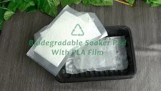 eco pad biodegradable meat packaging absorbent pad from misource