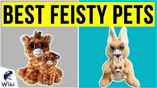 10 Best Feisty Pets 2020