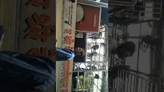 3 pavari dev mamledar Band satana